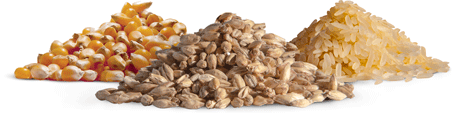 Granos de Cereal